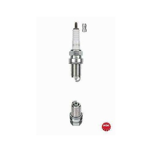 Spark plug ngk 6129 - plug,