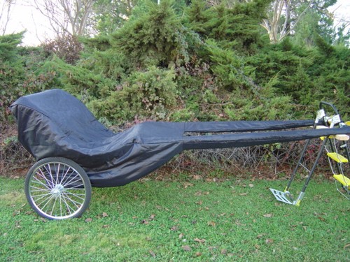 New easy entry horse - easy, cart