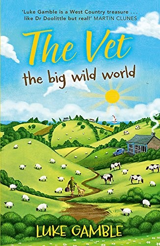 The vet - vet:,