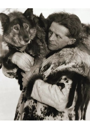 Togo siberian sled dog - togo,