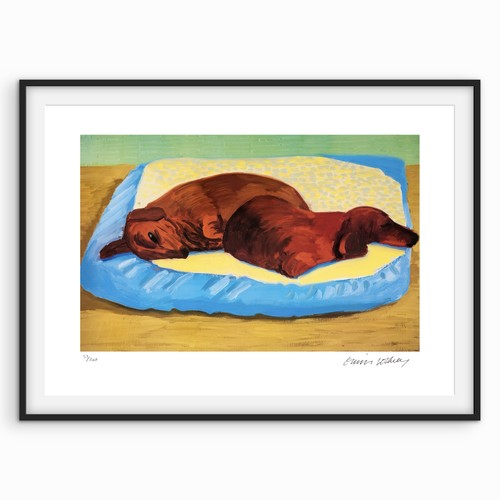 David hockney signed - dog, 43