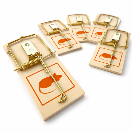 Wooden mouse traps - mouse, action