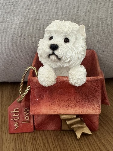 Westie dog west highland - westie,