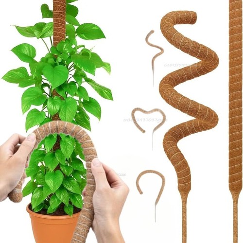 Bendable moss pole - pole, plant