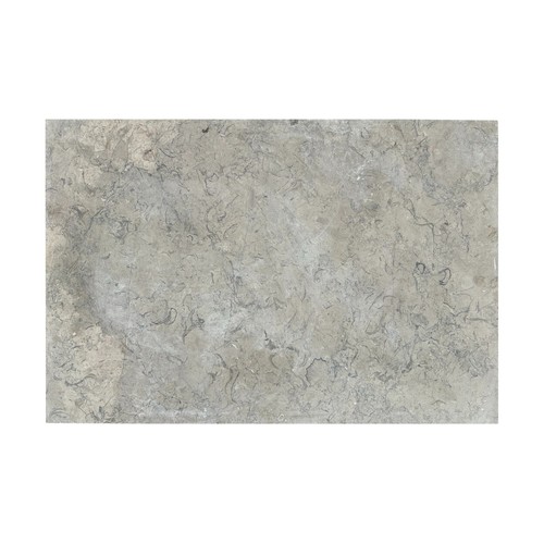 Fossil grey honed - fossil, limestone