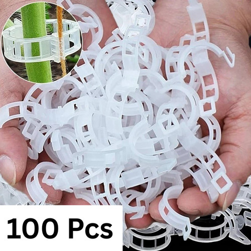 100x clip tomato and veggie - 100x,
