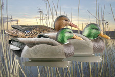Duck Decoys set of 6 GHG Life sized Mallard  Decoys 4 Cocks 2 Hens