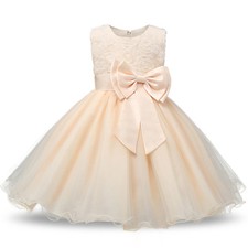 Girls Bridesmaid Dress Baby Flower Kids Party Rose Bow Wedding Dresses Princess