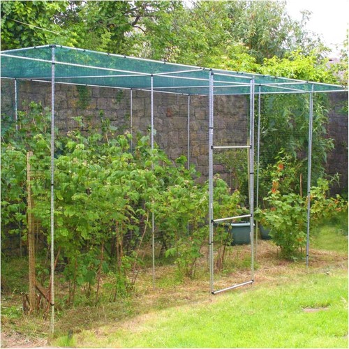 12ft walk fruit cage - walk,