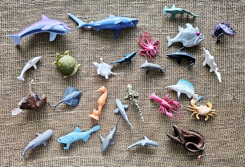 Lot ocean sea life - lot, 26