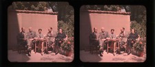 AUTOCHROME Stereo Lot x2 (6x13) Family Portrait, Flower Garden