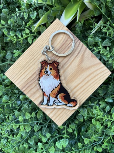 Rough collie dog - rough,
