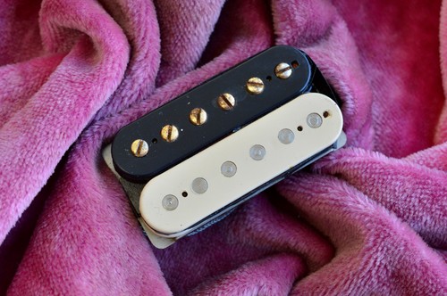 Vintage 1959 gibson zebra - gibson, paf