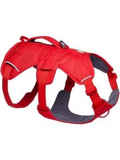 Ruffwear - Web Master Dog