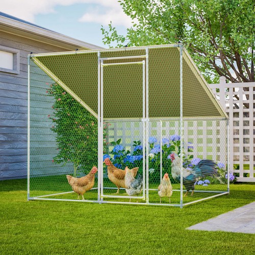 Large walk metal chicken - large, walk-in