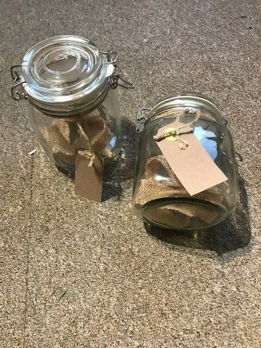 Glass jars with clip seal - 2,