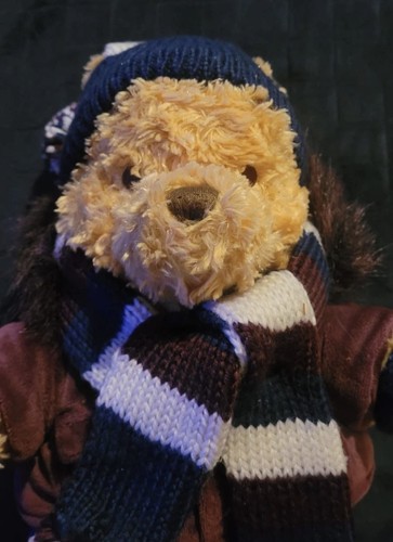 Winnie the pooh limited - the,