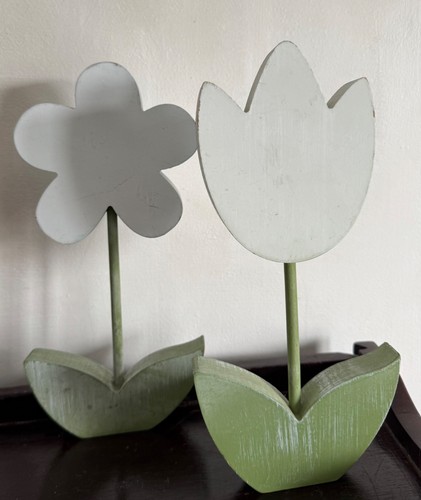 Two flower daisey tulip - daisey, &