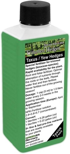 Green24 taxus yew hedge - yew,