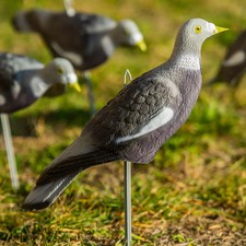 Pack of 12 pigeon shell decoys