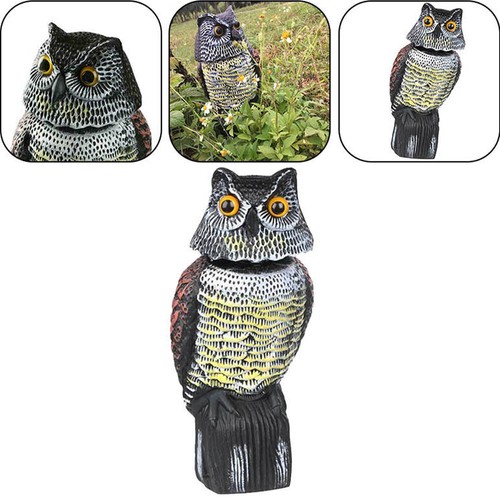 Large realistic owl - realistic, with
