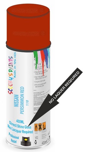 Direct shine paint spray - direct,