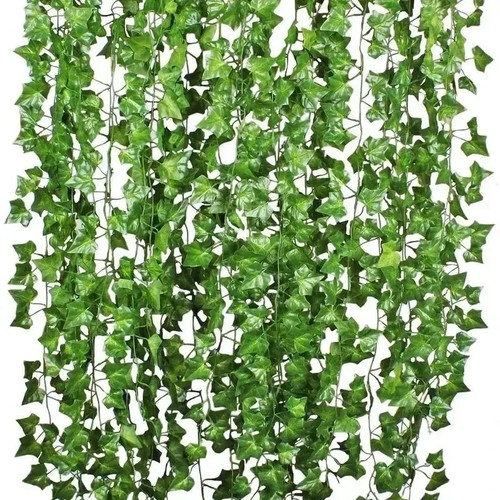 Pack feet fake ivy - 12,