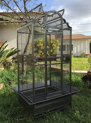 Large elegant bird - 64",