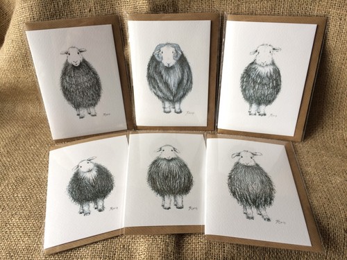 Mixed herdwick sheep cards - mixed,