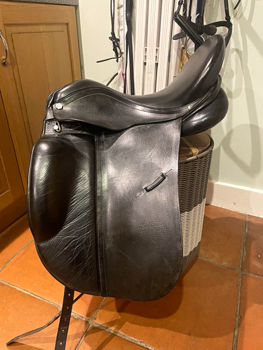 Albion platinum black - black, leather