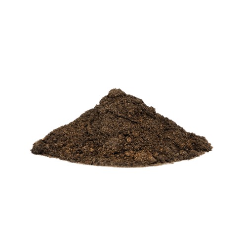 Ants sand loam mixture - ants,