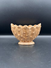 Sylvac Vintage Cactus Style