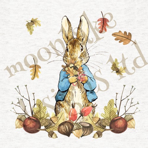 Beatrix potter peter rabbit - peter,