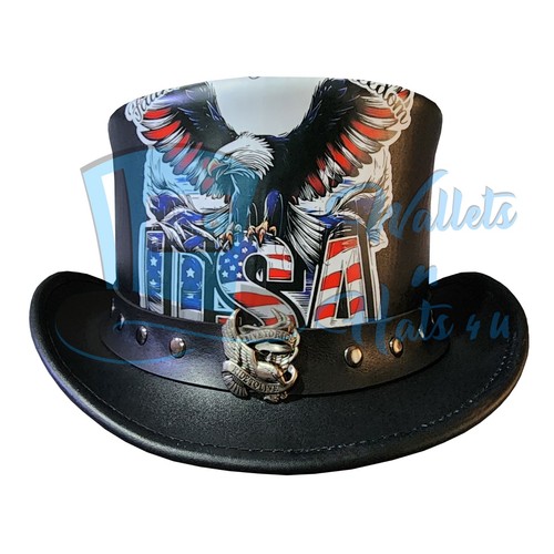 Usa bald eagle - usa,