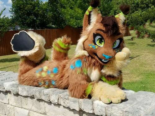 Husky fursuit dog fox - dog, mascot