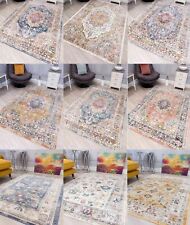 Vintage Rugs Modern Style Living Room Bedroom Distressed Large Faded Floor Rug