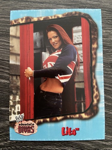 2002 wwe fleer absolute divas - wwe,