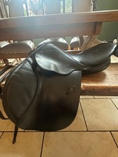 stubben artus cs jumping