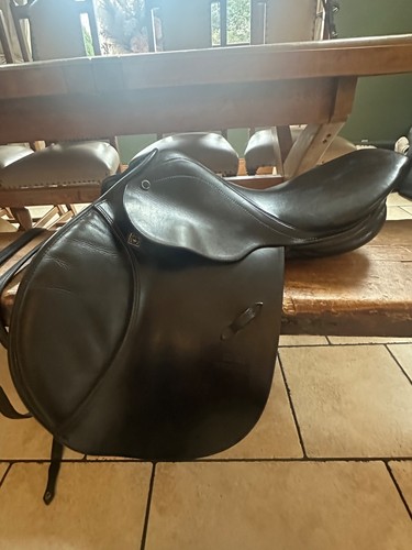 Stubben artus jumping - artus, cs