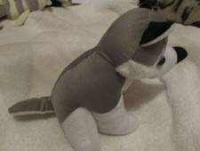 Cute grey and white wolf cub