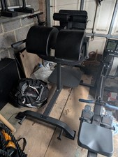 Strength Shop Glute Ham