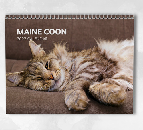 Maine coon calendar 2027 - coon,