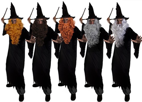 Wizard fancy dress - fancy,