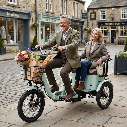 Electric wheel bike adult - electric, 3