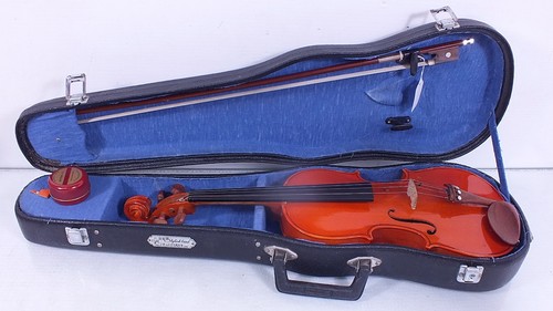 Stentor size student - size,