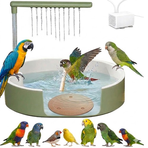 Parrot automatic bird - parrot,
