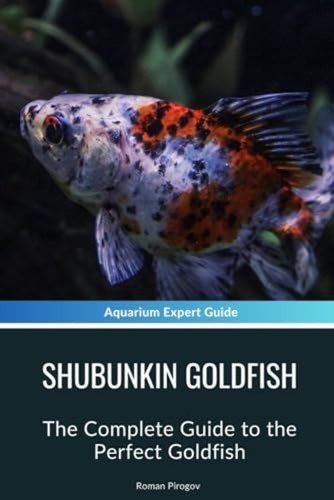 Shubunkin goldfish the - shubunkin,