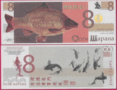 Bulgaria carp 2001 private - 8,