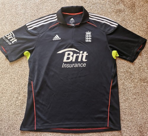 England cricket 2010 - 2010, odi