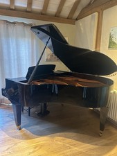 Bösendorder 170 Grand - an outstanding Piano.